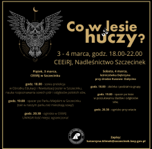 Co w lesie huczy?