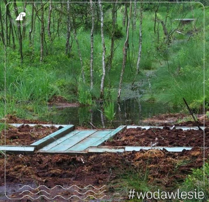 jedna z 34 z przegród wybudowanych w ramach projektu