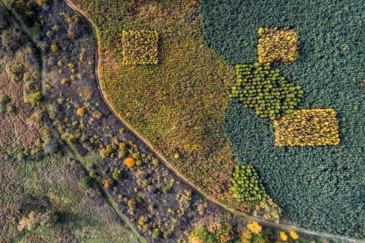 fot. Łukasz Gwiździel