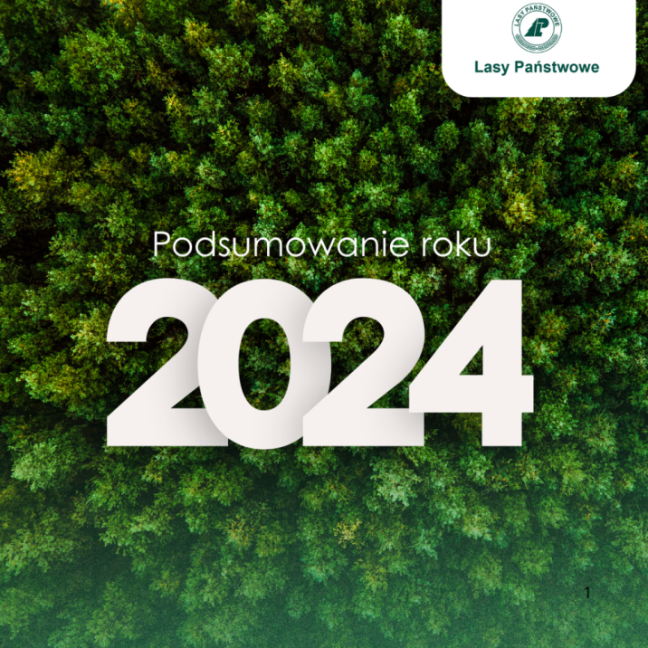 Lasy&#x20;Państwowe&#x3a;&#x20;To&#x20;był&#x20;rok&#x20;ochrony&#x20;przyrody&#x2c;&#x20;adaptacji&#x20;lasów&#x20;do&#x20;zmian&#x20;klimatu&#x20;i&#x20;trudnego&#x20;dialogu&#x20;społecznego