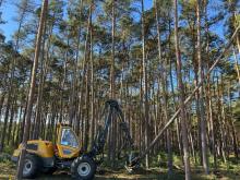 Zapraszamy do udziału w spotkaniu online poświęconym funkcjonalności platformy eZamawiający w ramach Dynamicznego Systemu Zakupów dla Usług Leśnych