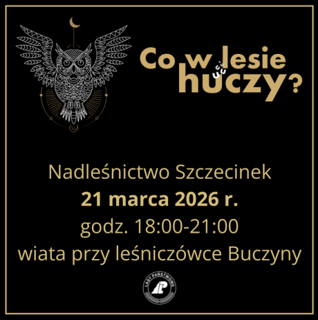 Co w lesie huczy po raz siódmy!